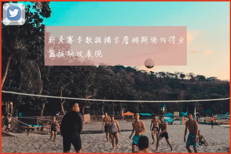 新秀赛季数据揭示詹姆斯场均得分篮板助攻表现