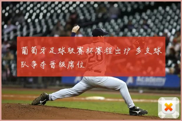葡萄牙足球联赛杯赛程出炉 多支球队争夺晋级席位