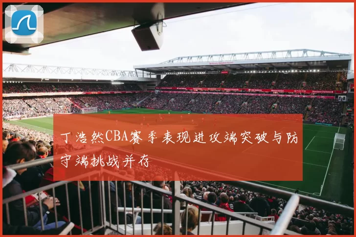 丁浩然CBA赛季表现进攻端突破与防守端挑战并存