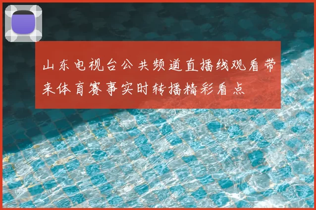 山东电视台公共频道直播线观看带来体育赛事实时转播精彩看点