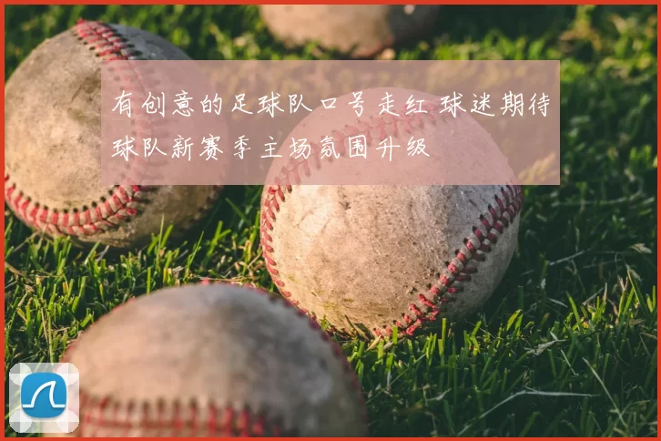 有创意的足球队口号走红 球迷期待球队新赛季主场氛围升级