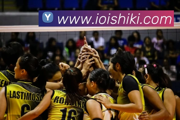 App Interface Preview